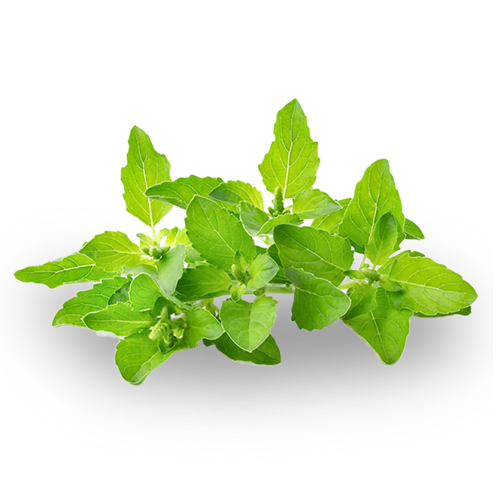 108 leaves
